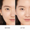 Tinted Moisturizer Natural Skin Perfector Broad Spectrum SPF 30
