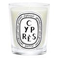 Scented Candle - Cypres (Cypress)