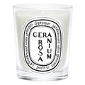 Scented Candle - Geranium Rosa (Rose Geranium) (Unboxed)