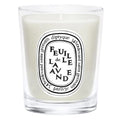 Scented Candle - Feuille de Lavande (Lavender Leaf)