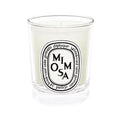 Scented Candle - Mimosa
