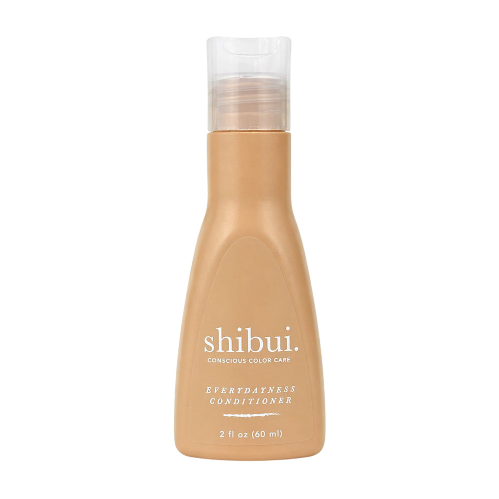 Everydayness Conditioner