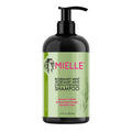 Rosemary Mint Strengthening Shampoo