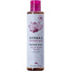 Essentials Radiance Toner