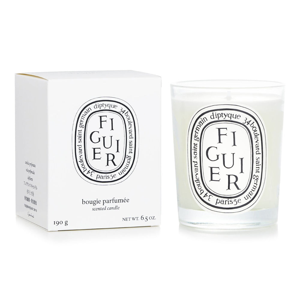 Scented Candle - Figuier (Fig Tree)
