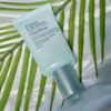 DayWear - Multi-Protection Anti-Oxidant Sheer Tint Release Moisturizer SPF 15